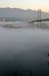 Fog, Lions Gate Bridge