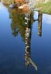 Reflections Totem Poles, Canada Stock Photographs