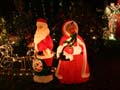 Bright Nights In Stanley Park, Christmas Nights