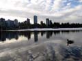 Winter Scenes, Stanley Park