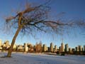 Downtown Skyline Winter, Canada Stock Photographs