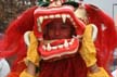 Chinese New Year 2004, Canada Stock Photographs