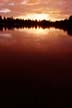 Beaver Lake Sunset Stanley Park, Canada Stock Photographs