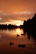 Lost Lagoon Sunset, Stanley Park