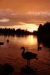 Lost Lagoon Sunset Stanley Park, Canada Stock Photographs