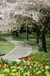 Springtime, Stanley Park