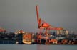 Cranes, Canada Stock Photos