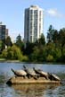 Look Out For Turtles, Lost Lagoon