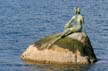 Stanley Park Mermaid, The Girl In The Wetsuit Near Lumberman