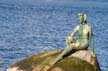 Stanley Park Mermaid, The Girl In The Wetsuit Near Lumberman