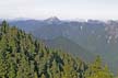 Grouse Mountain Trails, Canada Stock Photos