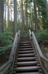 Wooden Steps At Nelson Canyon Park, Canada Stock Photos