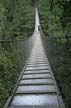 Lynn Canyon Suspension Bridge, Canada Stock Photographs