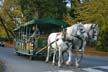 Horse-Drawn Tours, Stanley Park