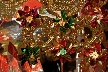 Christmas Tree, Canada Stock Photos