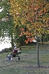 A Couple Sitting At Park, Canada Stock Photos