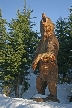 Grouse MountainsStanding Bear, Canada Stock Photos