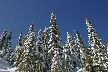 Cypress Mountain, Canada Stock Photos