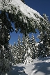 Cypress Mountain, Canada Stock Photos