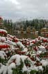 Winter Scenes, Canada Stock Photos