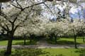 Spring Time, Stanley Park