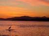 Vancouver Sunset, Canada Stock Photographs