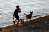 A Boy And Two Dogs, English Bay Dogs